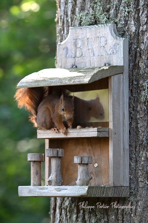 Observez, tendez l'oreille...