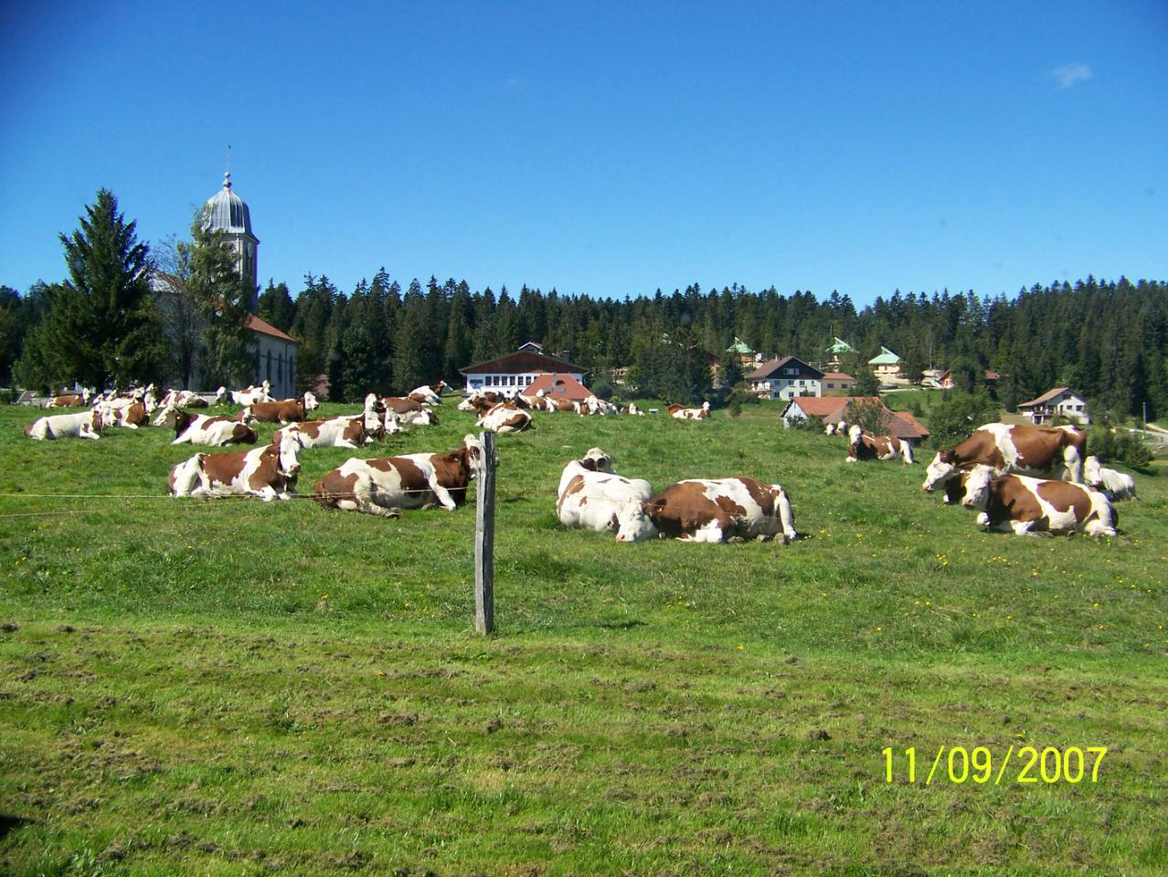 Visite de la ferme familiale