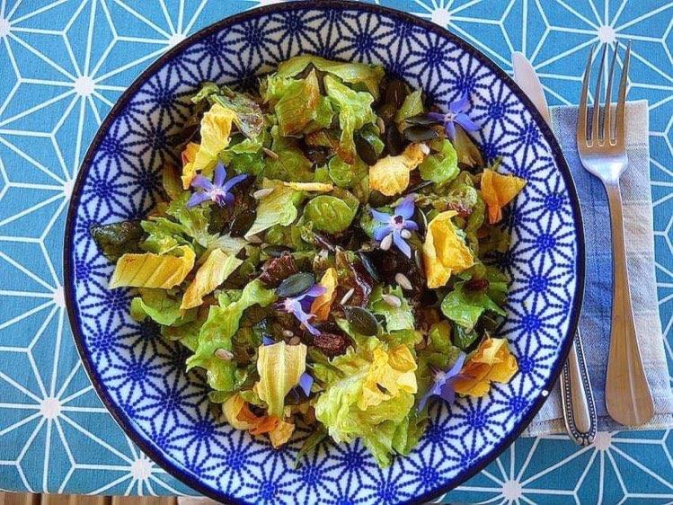 Table d'hôtes végétarienne (vegan, sans gluten sur demande)