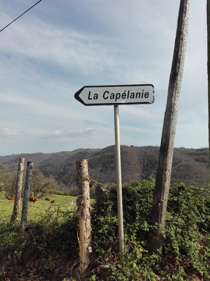 Randonnées au départ de la maison dans la vallée du Viaur