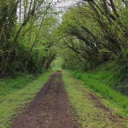 🥾 Randonnée depuis le Moulin des Prés – Balades nature en famille ou entre amis