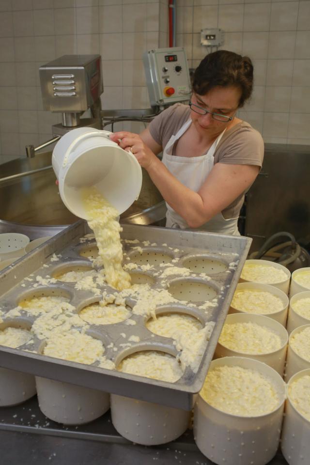 Visite de la fromagerie et de nos caves d'affinage, possible les mercredis ou jeudis. (selon disponibilités du moment)