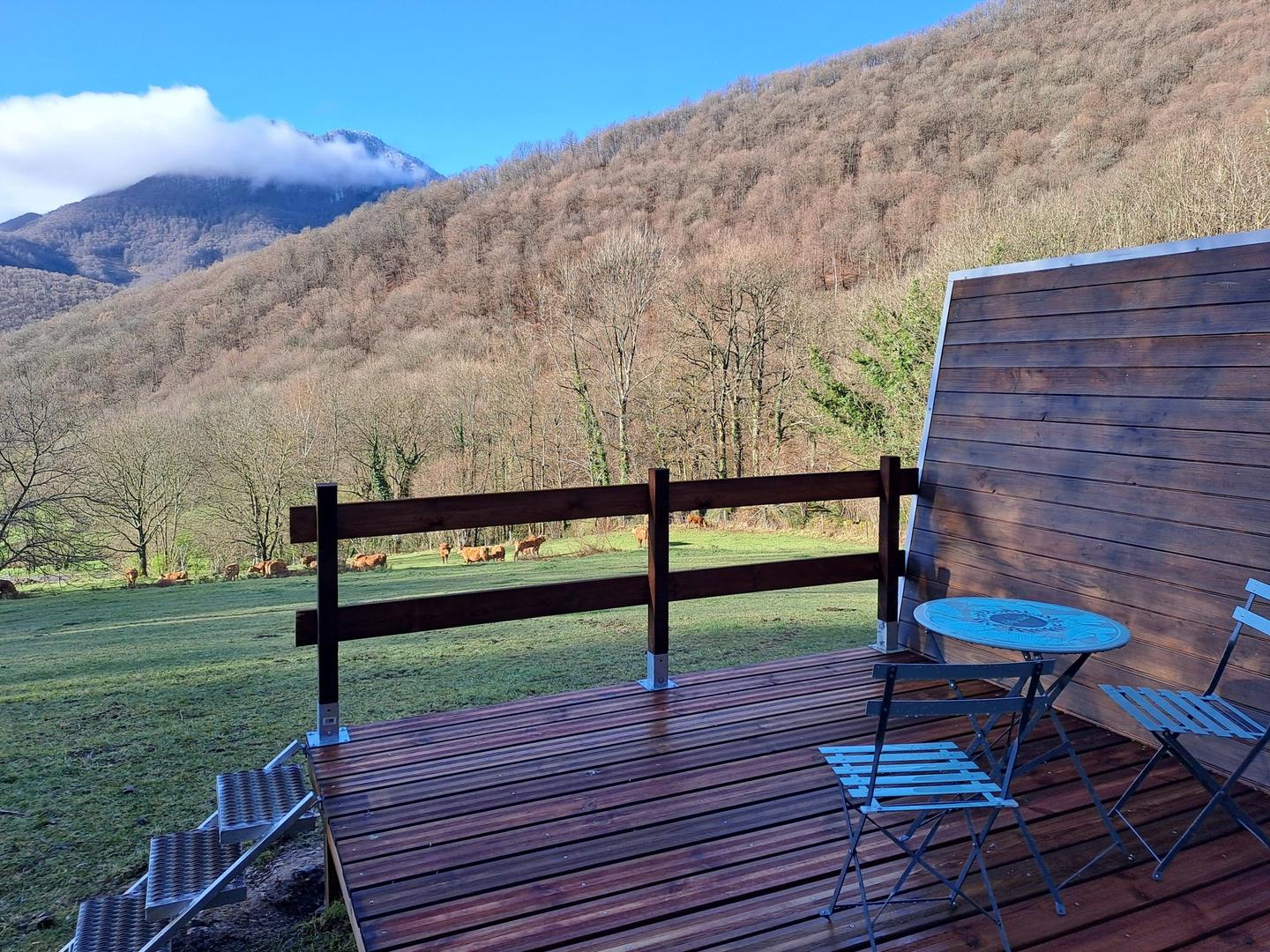 OBSERVER NOS VACHES LIMOUSINE OU LES BICHES