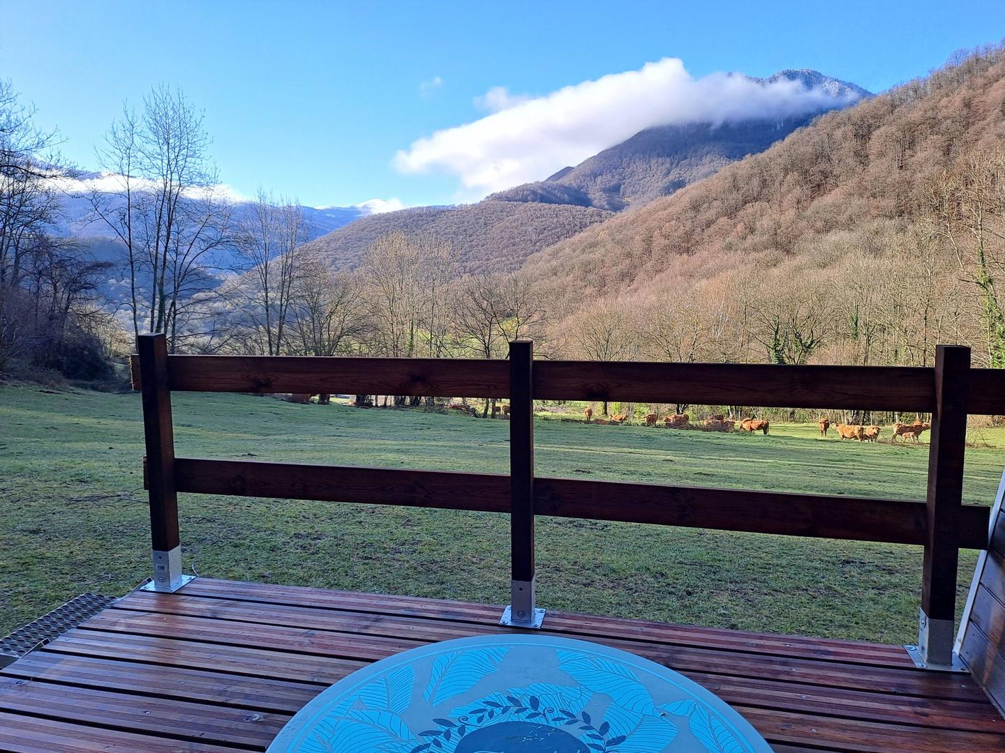 OBSERVATION DES ETOILES