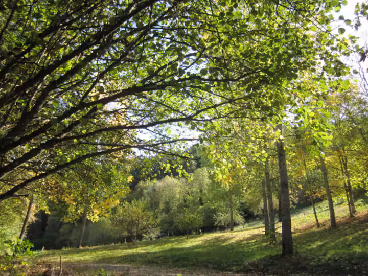 Seulement profité de son temps libre...