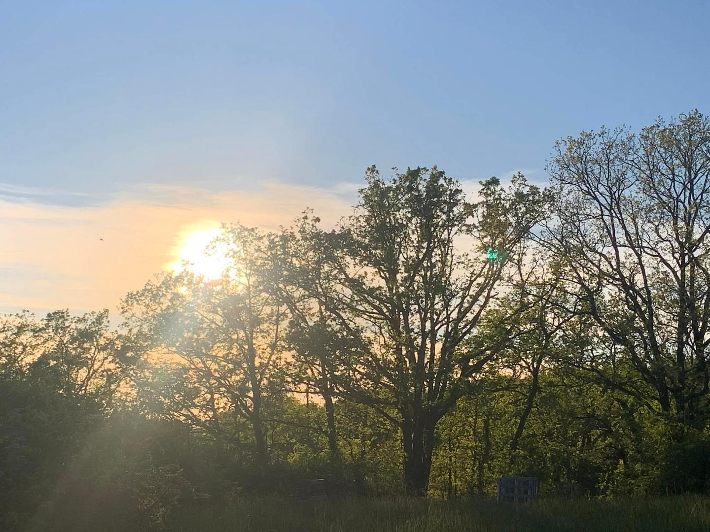 Ici le temps s’arrête : nature à perte de vue à 360°