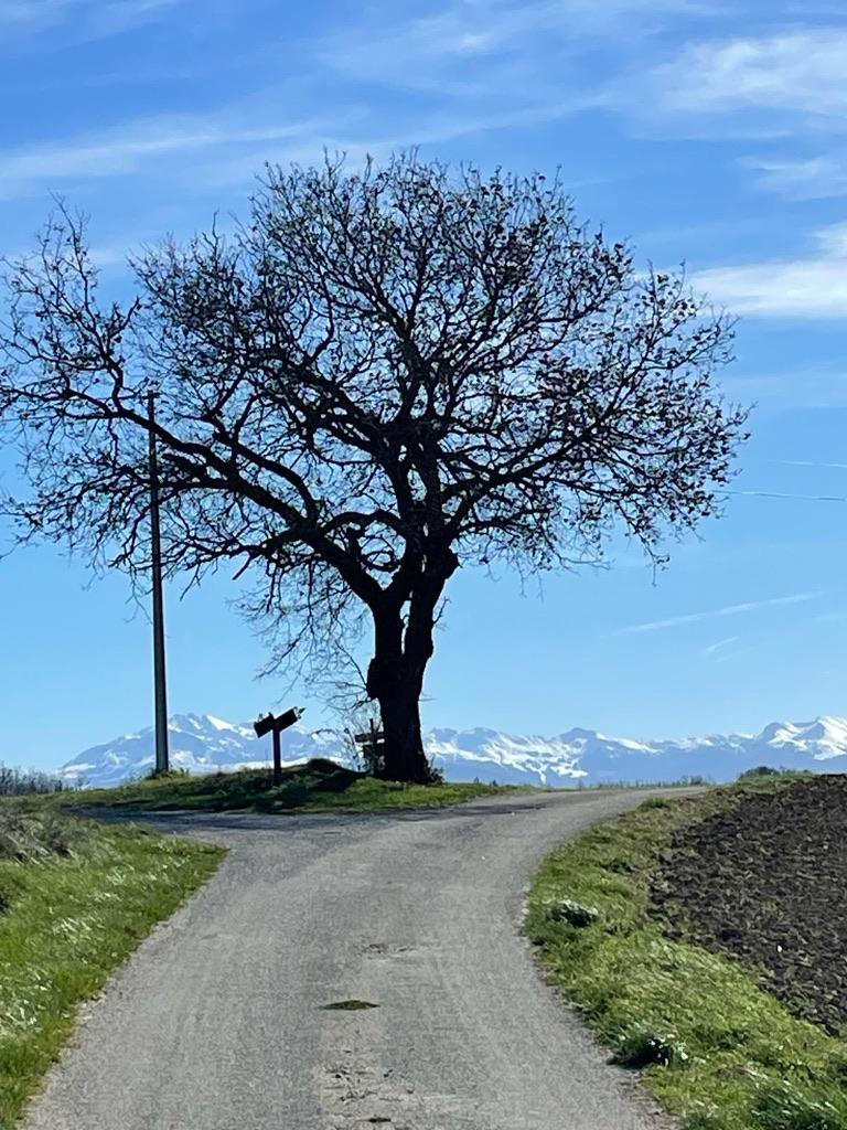 Randonnée depuis la maison dans le pays aux mille collines et sur le GR 7 et 78 (Chemin de Compostelle, voie du Piedmont Pyrénéen