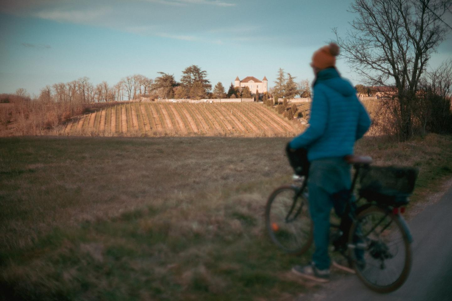 Visites des domaines viticoles
