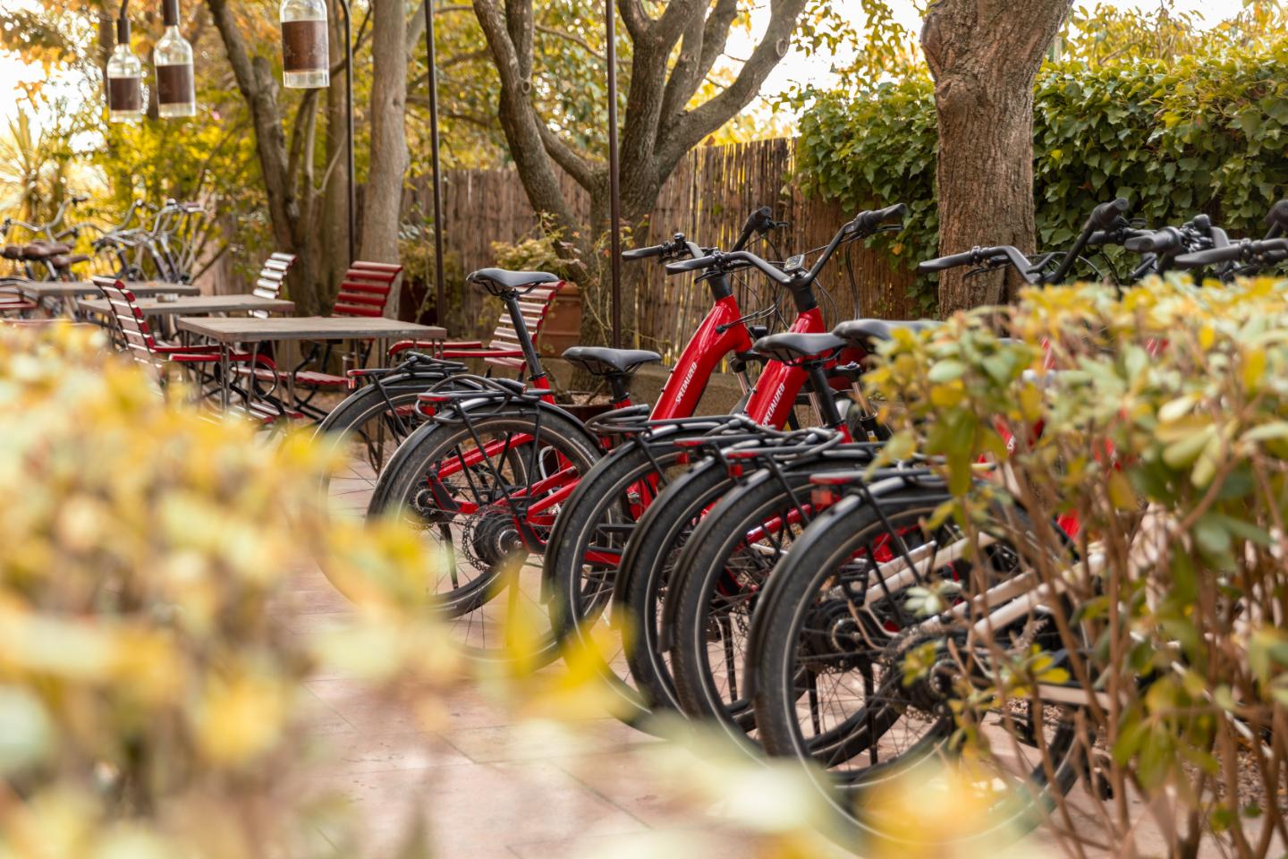 Location de vélos électriques