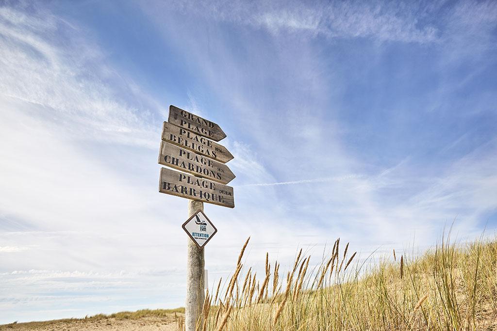 A 5 minutes des plus belles plages du sud vendée !