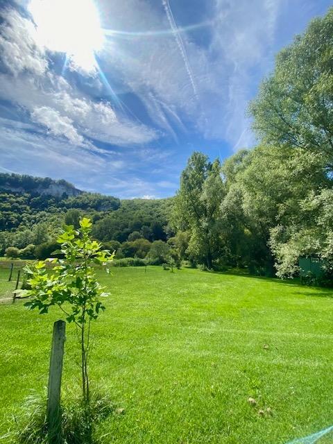 La tranquillité, la nature et un ciel plein d'étoiles