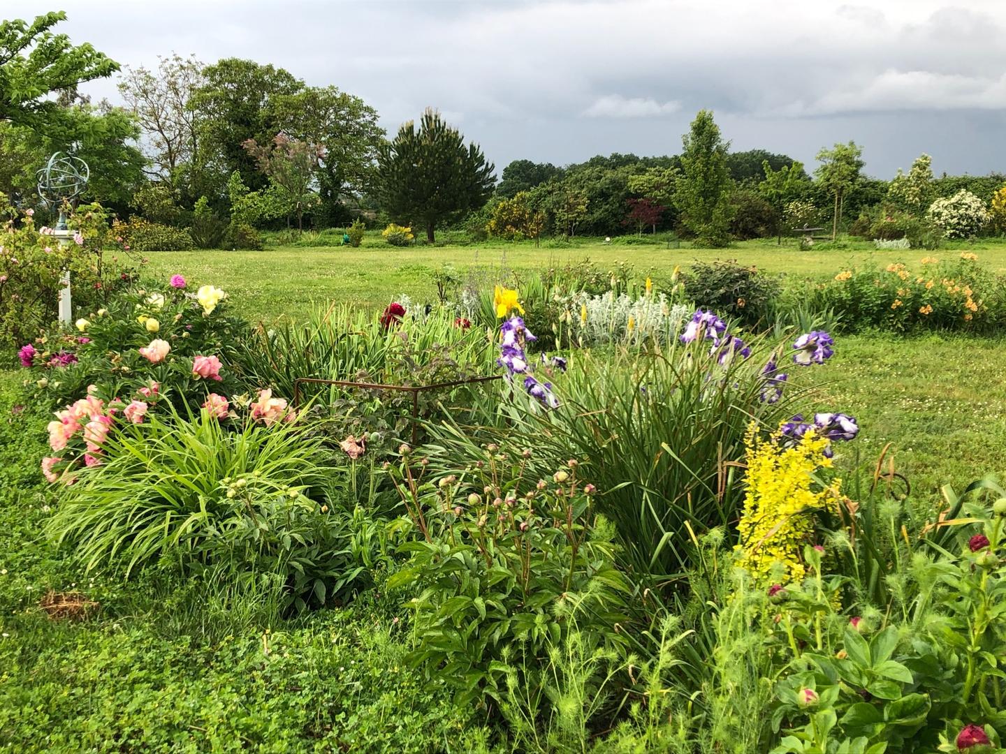 Parc botanique du Chateau, 2 ha d'arbres et de buissons souvent rares. Collection des plantes remarquables : pivoines , rosiers , iris , hemerocalles, hellébores.