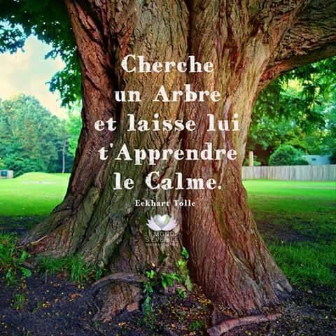 carpe diem