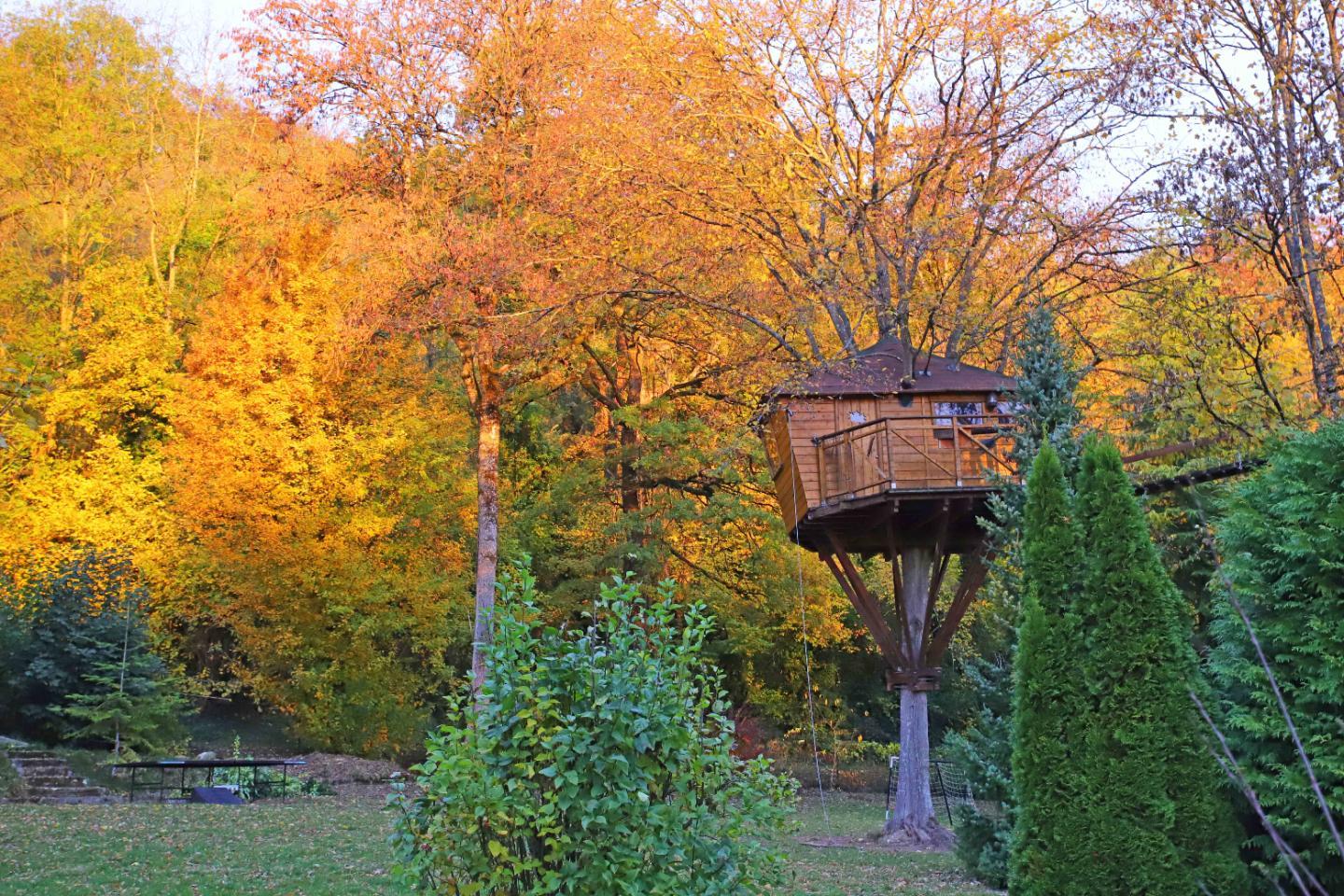 Entre forêt et bords de Marne