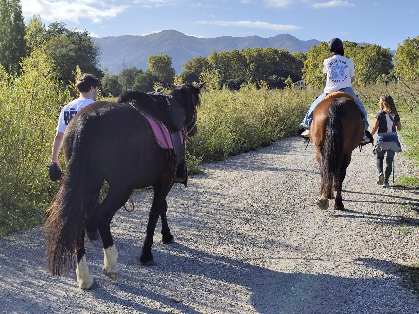 Balade à cheval au départ de l'écurie