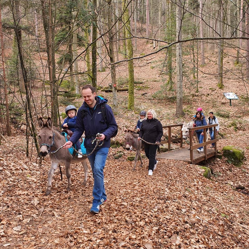 Promenade libre avec nos ânes et poney pour découvrir en famille notre vallon