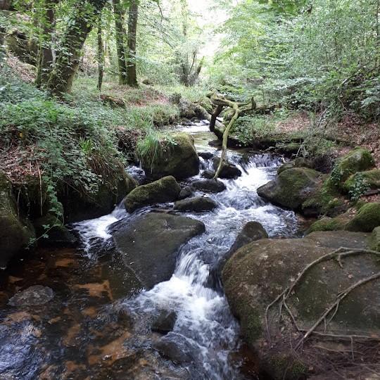 A pied depuis le Masbareau, explorez la Nature avec de nombreux sentiers et merveilleux points de vue pour ballades, randonnées