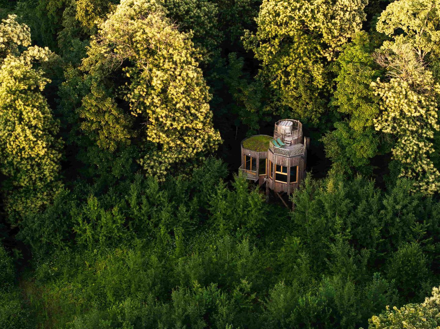 Déconnexion dans la forêt de Raray