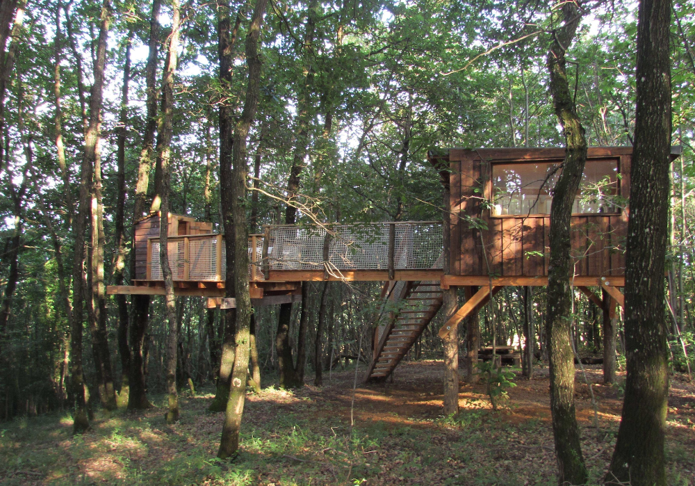 Cabanes au cœur des bois