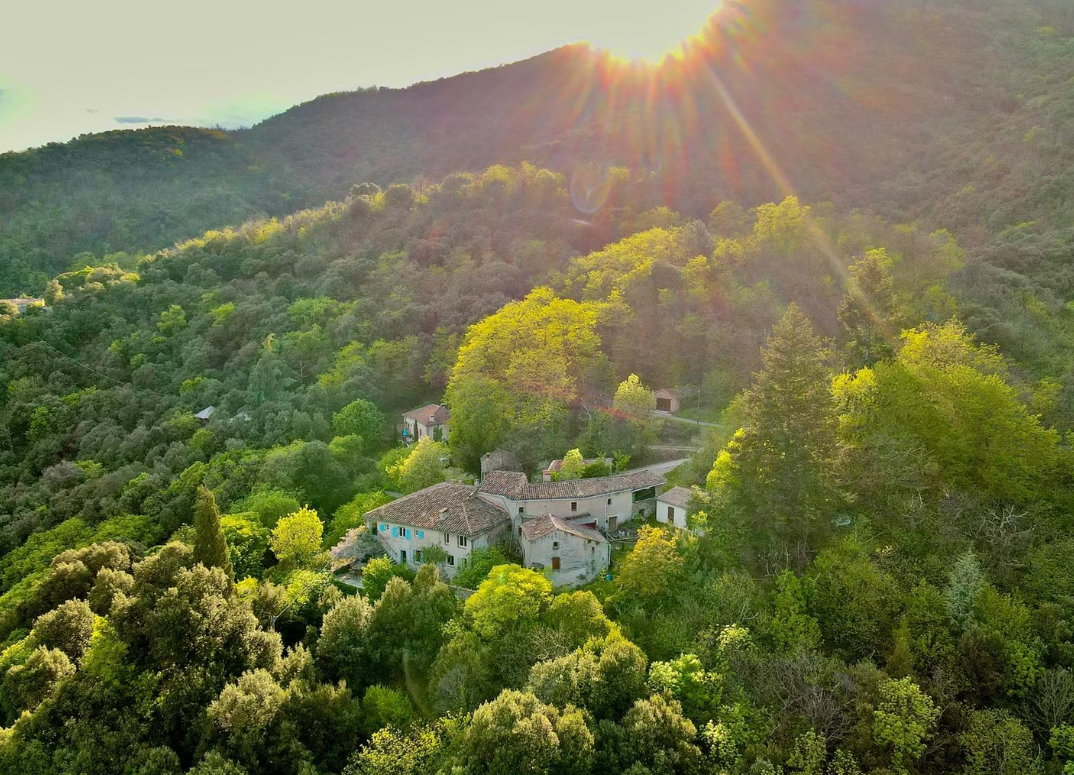En pleine nature cévenole