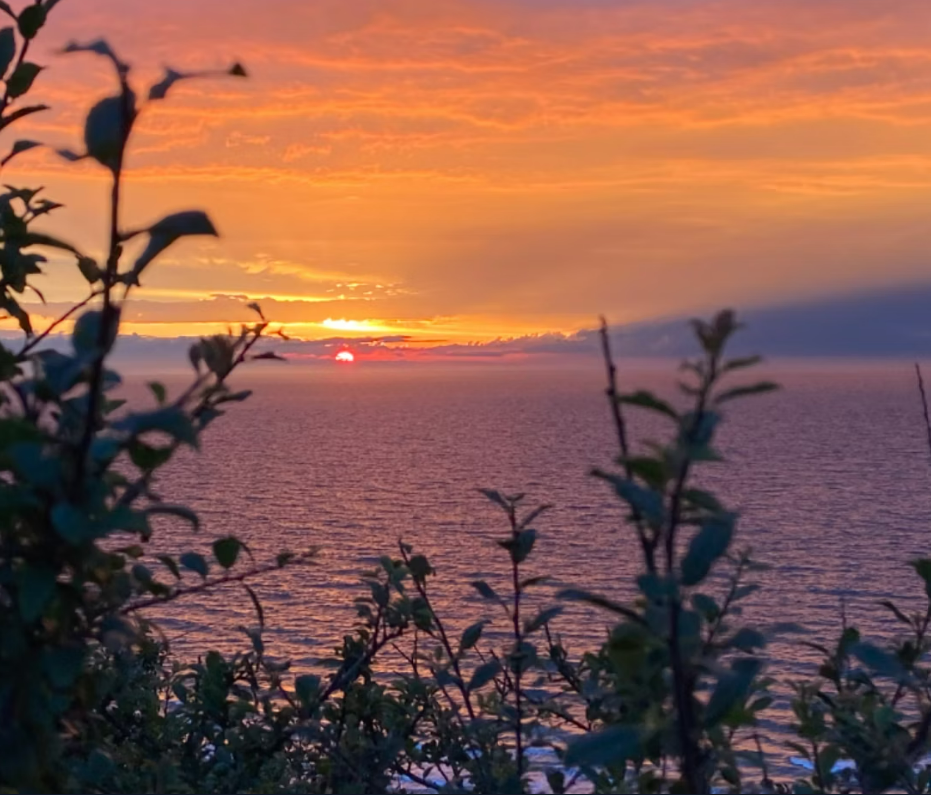 Plage sauvage à 300m