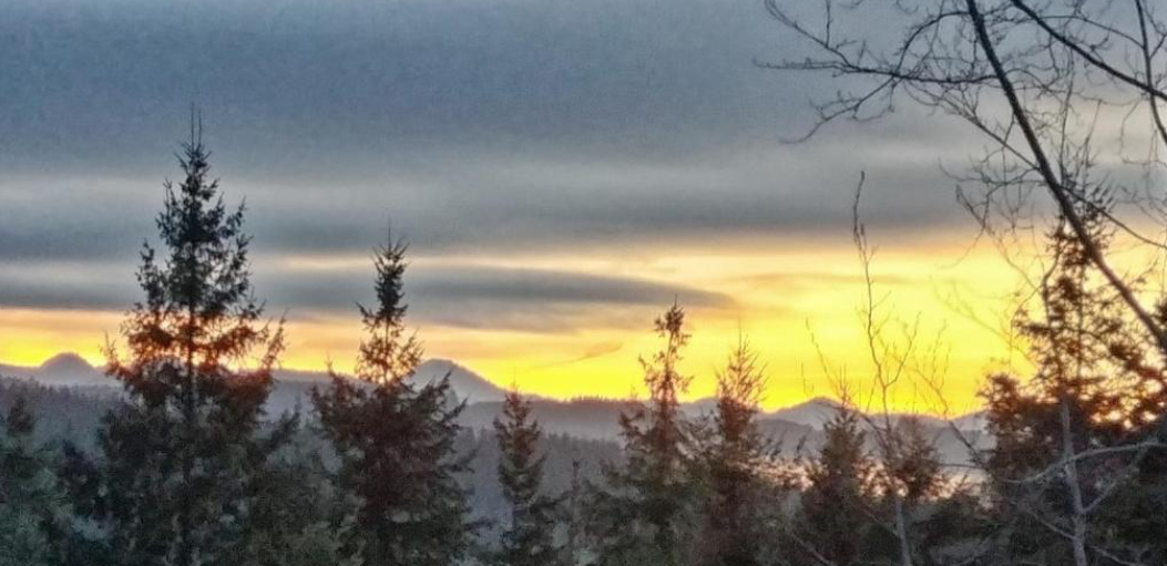 Balade nature au départ du domaine — Sentier de biodiversité & bord du ruisseau