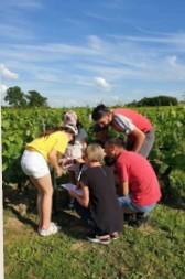 Escape game dans les vignes, visite & dégustation