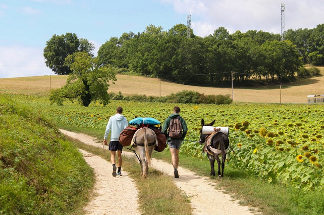 Balades et randonnées à dos d'ânes