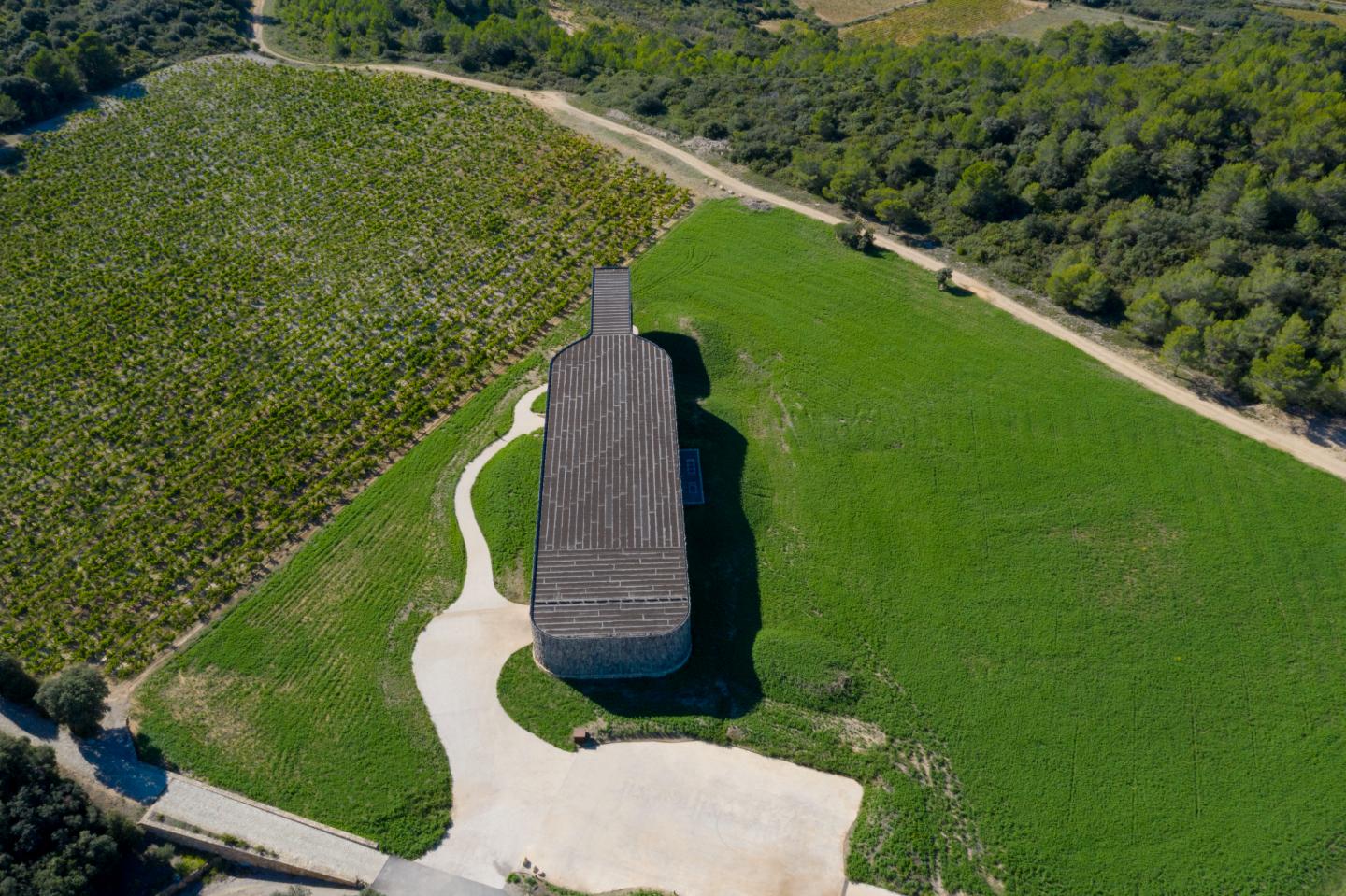 Safari dans les vignes