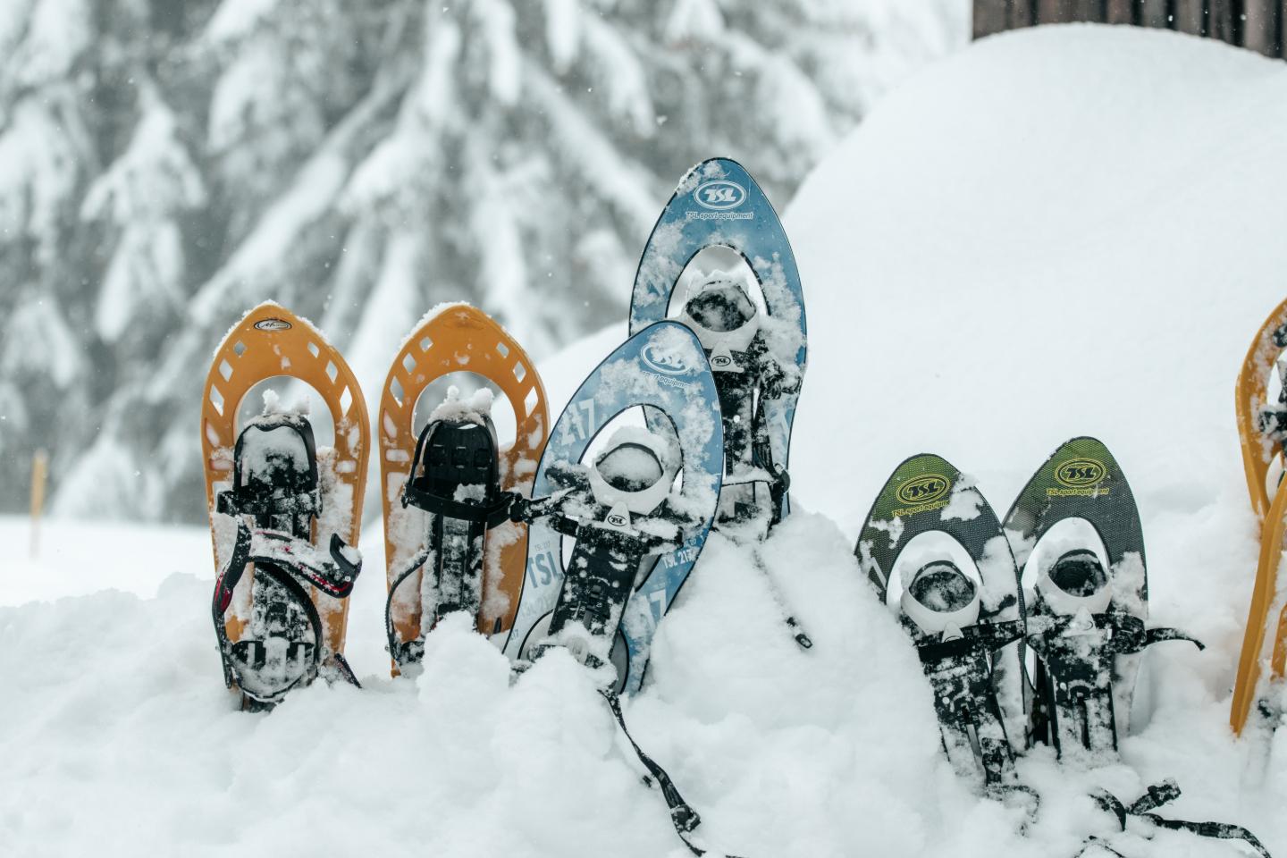 Immersion en pleine montagne (détente, randonnée, trail, vélo, raquettes de neige..)