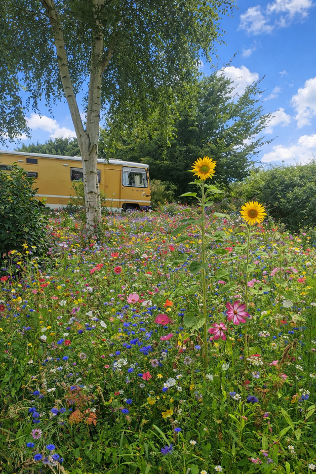 Au calme, en pleine nature