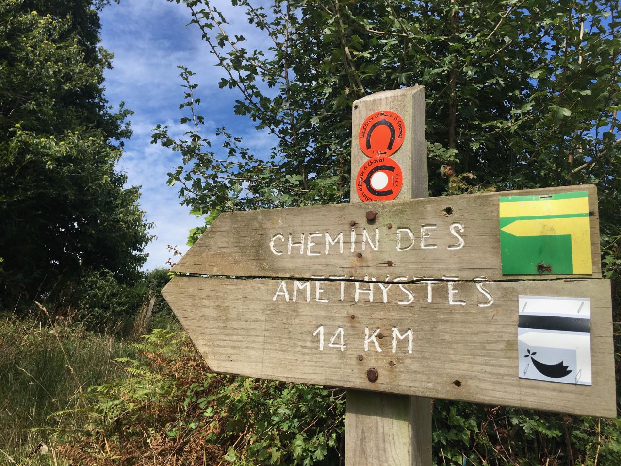 Randonné depuis le gîte sur les multiples chemins balisés.