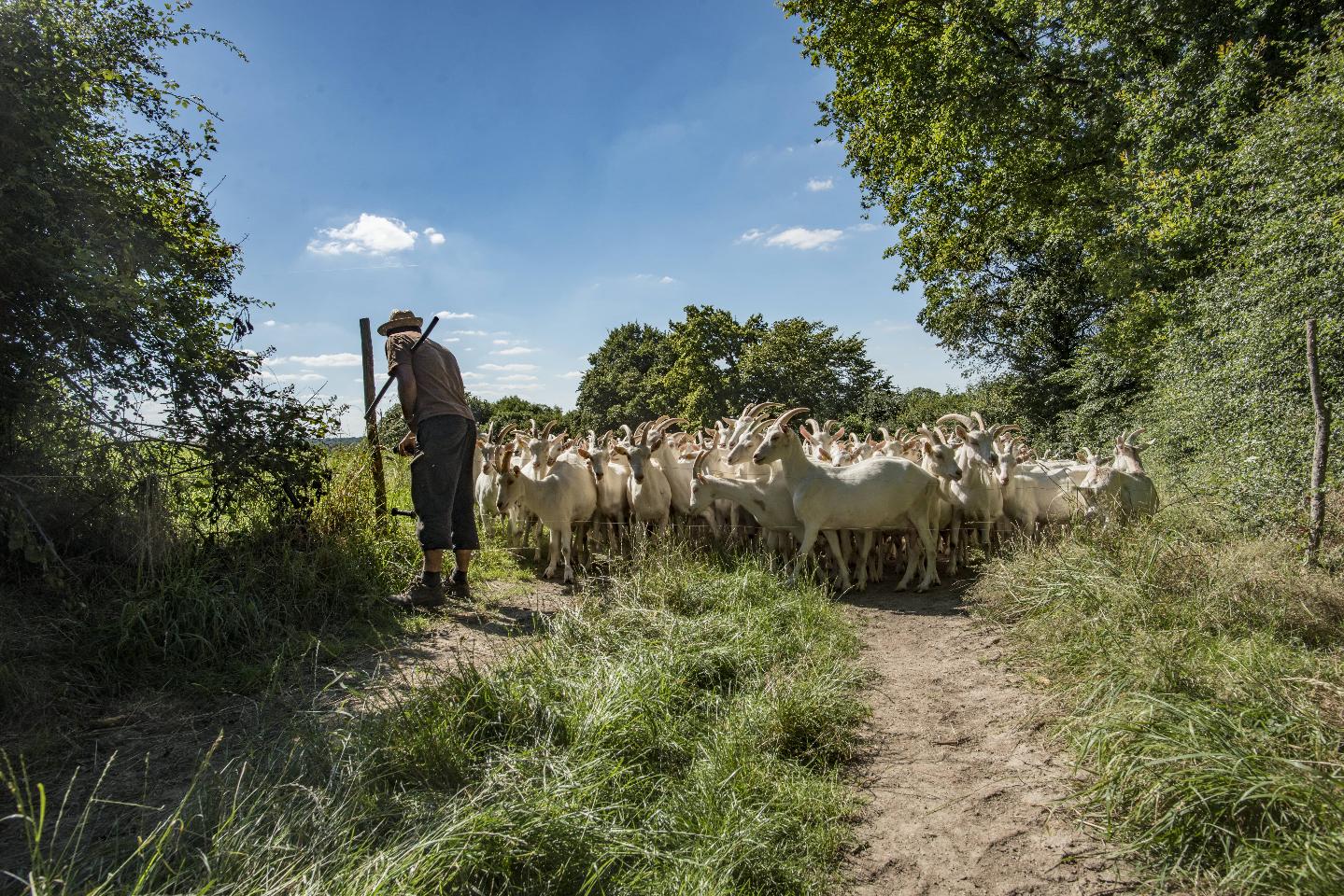 Visite de la ferme