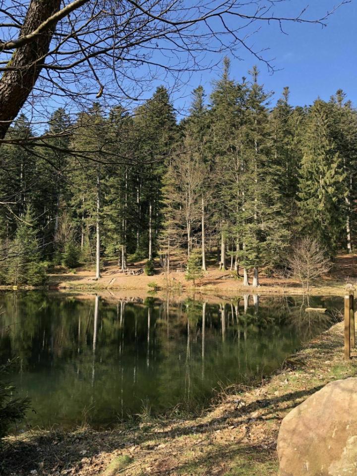 Location de VTT