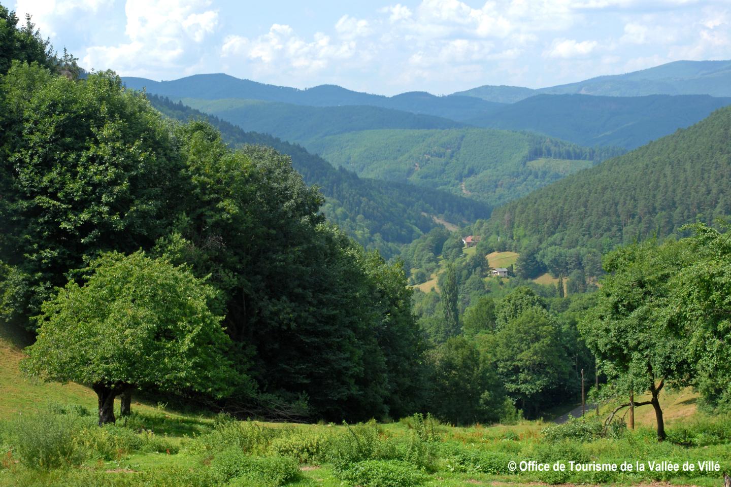 Parc naturel régional des ballons des Voscges