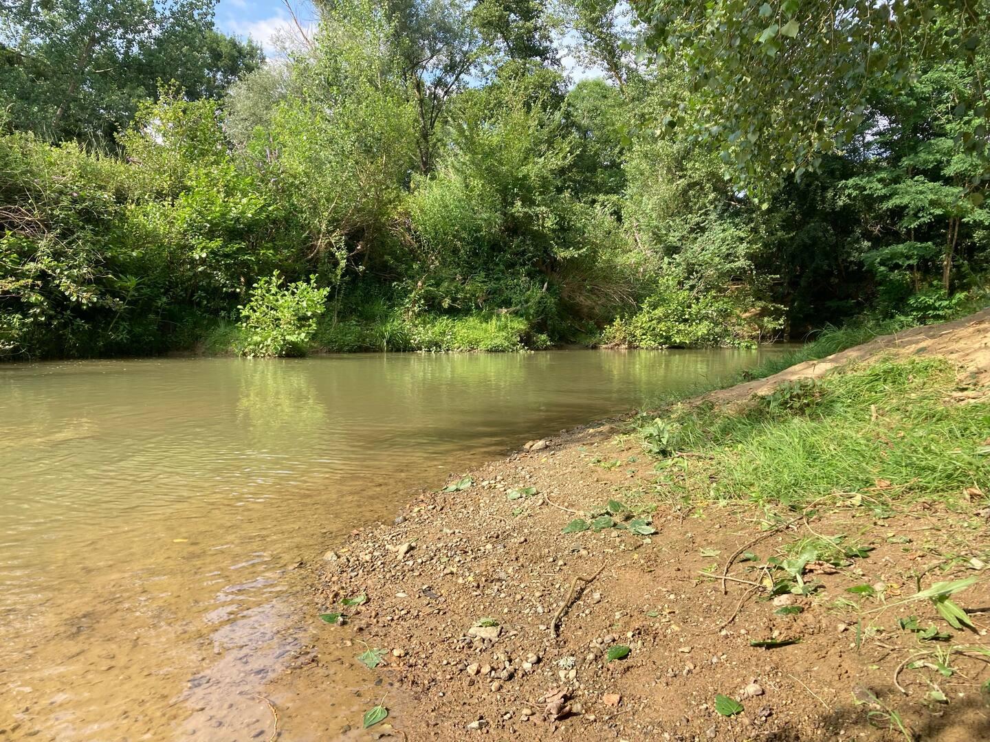 Promenade dans les bois, cueillette de champignons, reconnexion avec la nature.