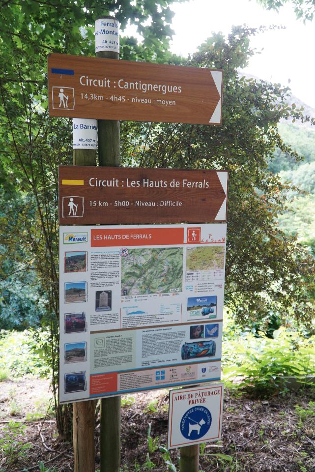 Plusieurs randonnées familiales ou plus sportives directement  à partir du gite