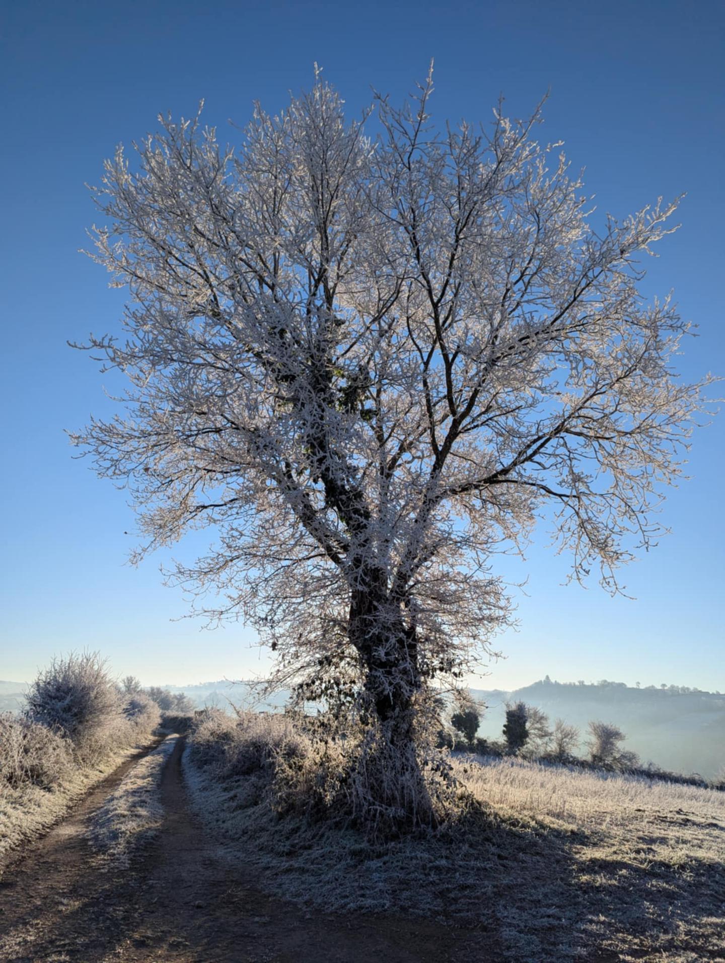 Randonnées au départ de Saisonnée