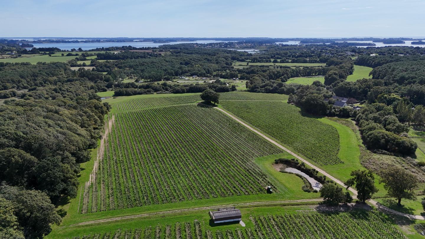 Visite de vignoble possible