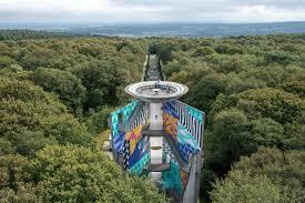 Près des Alpes Mancelles observer la nature verdoyante sarthoise