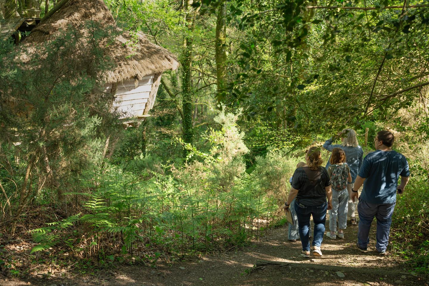 Jeux de piste dans 5 hectares de Forêt aux confins du Morbihan, de la Loire Atlantique et de l'Ile et Vilaine