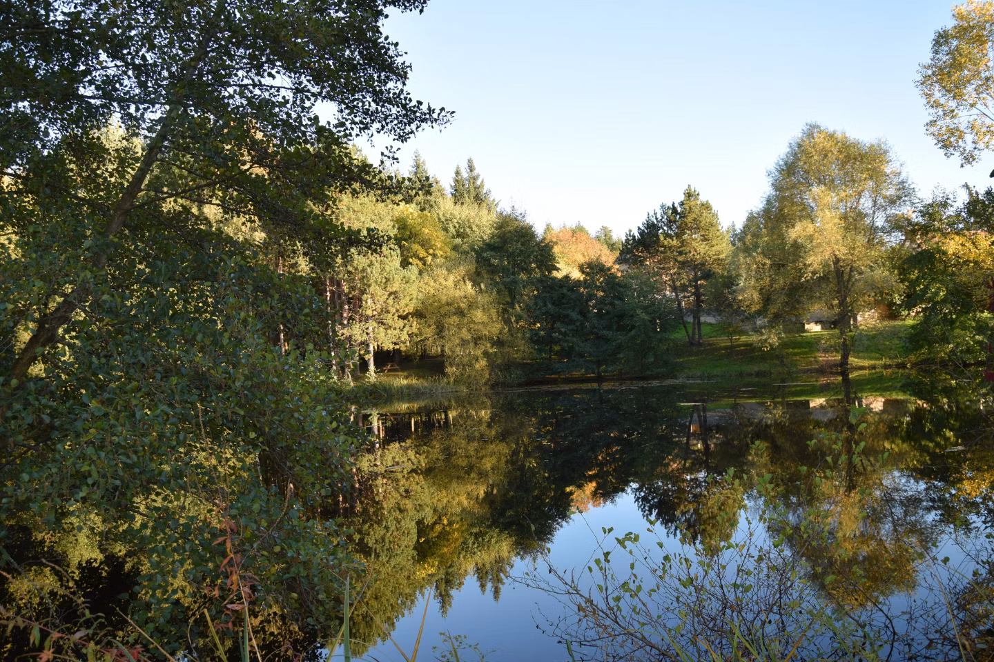 Balade autour de l’étang éclairé et pique-nique en pleine nature