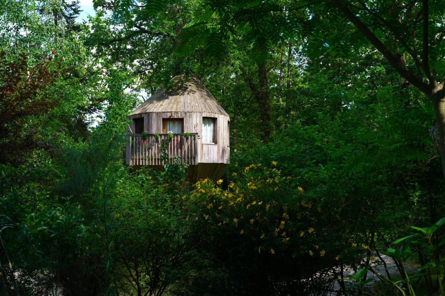 Cabane au cœur de la forêt