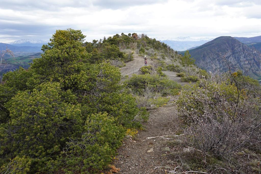 Quelques randonnées sont accessibles depuis l'établissement