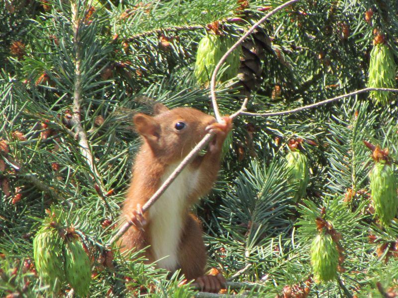 Un jardin conçu pour accueillir la Biodiversité