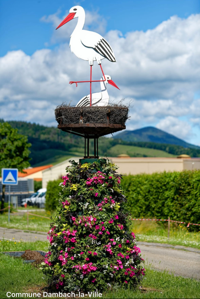 Au cœur des vignes d’Alsace, entre nature et villages de caractère
