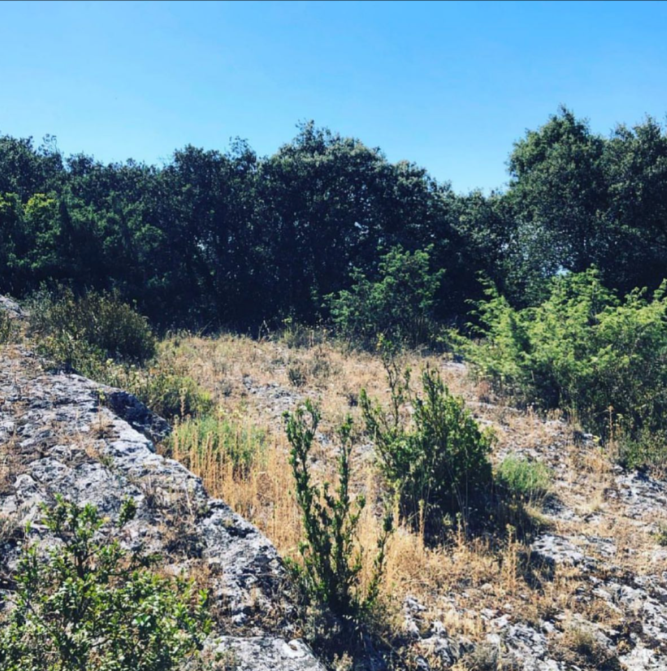 Randonnées depuis Lagnes