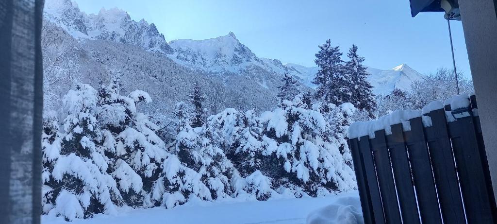 Face au Mont-Blanc