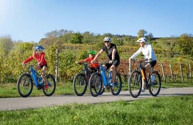 Je vous propose la location de vélos électriques, idéale pour explorer les environs en toute liberté et sans effort.