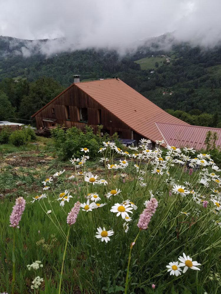 Au bout de la route, en pleine montagne, isolé